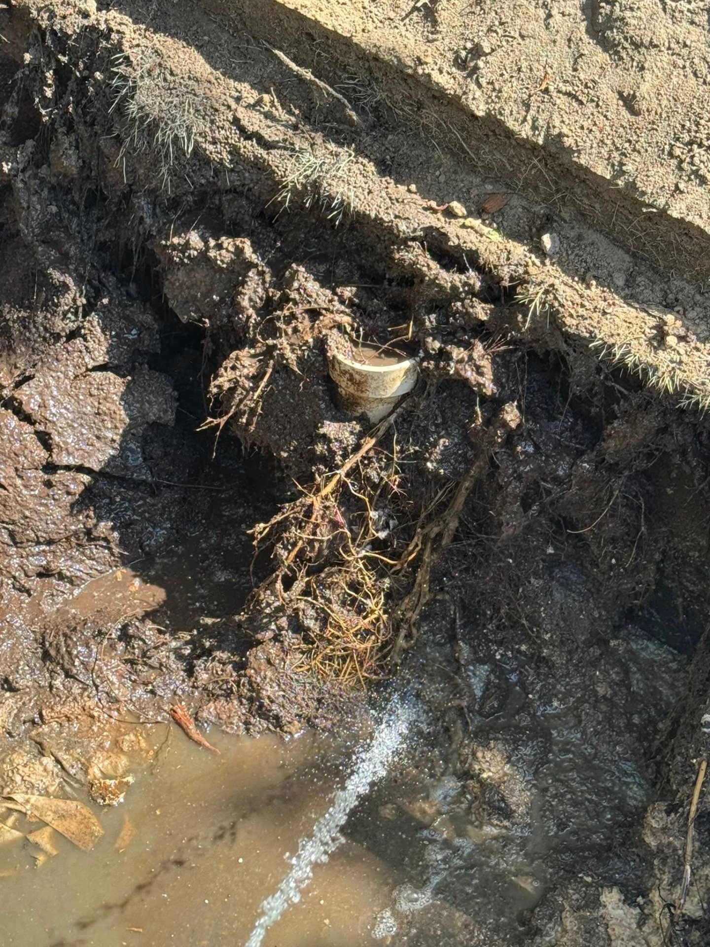 Ocilla Plumbing Services