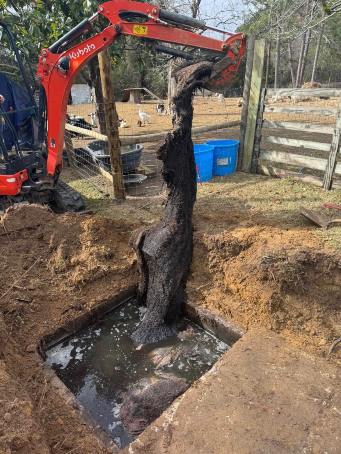 Septic services